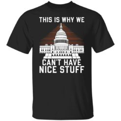 This is why we can't have nice stuff shirt $19.95 redirect10122021231054 4