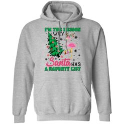 Flamingo I'm the reason why santa has a naught list Christmas sweater $19.95 redirect10222021041030 2