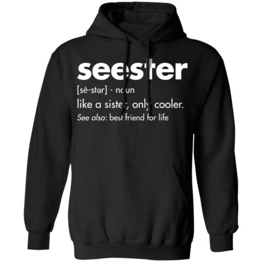 Seester Definition shirt $19.95 redirect11292021221115 2