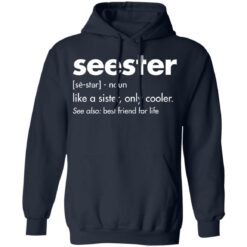 Seester Definition shirt $19.95 redirect11292021221116