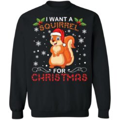 I want a Squirrel for Christmas sweater $19.95 redirect12162021071208 6
