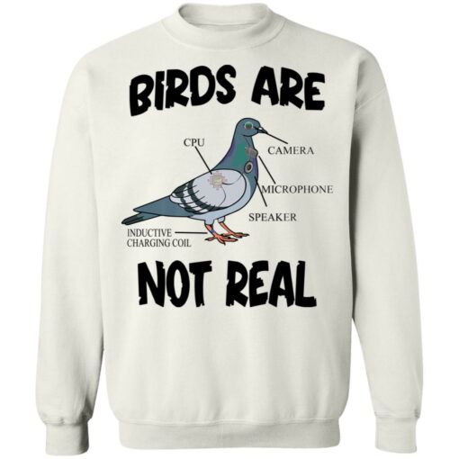 Birds are not real shirt $19.95 redirect03092022050336 5