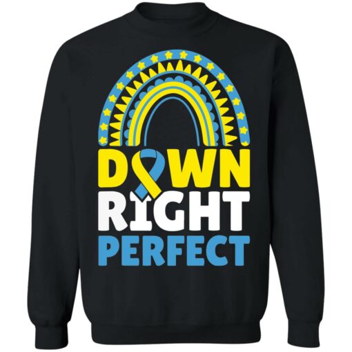 Down right perfect shirt $19.95 redirect03182022020352 2