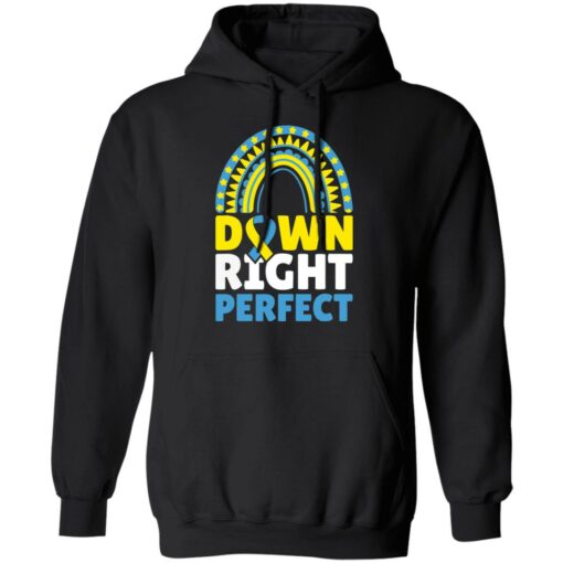 Down right perfect shirt $19.95 redirect03182022020352