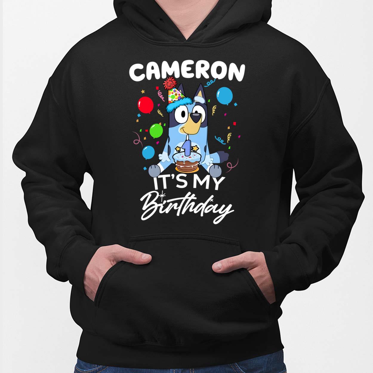 Official Custom name bluey birthday party shirt, hoodie, sweater